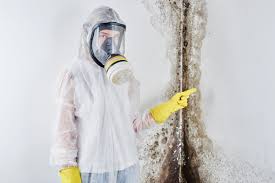 Why You Should Choose Our Mold Remediation Services in Shreveport, LA